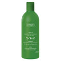 Olive Oil Shampoo